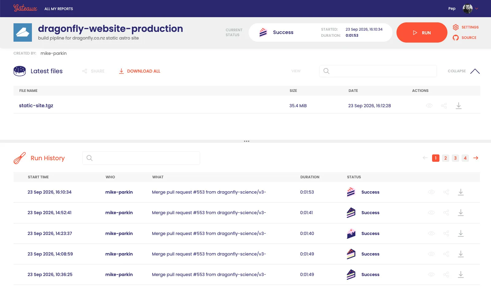screenshot of a single report page, with the run history